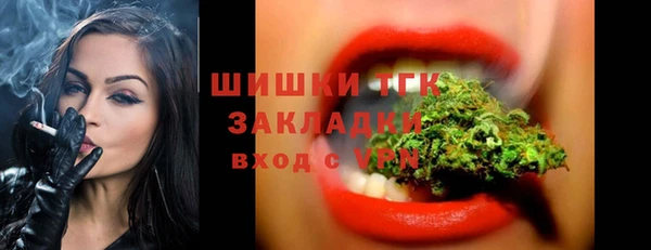 молекула духа Балахна